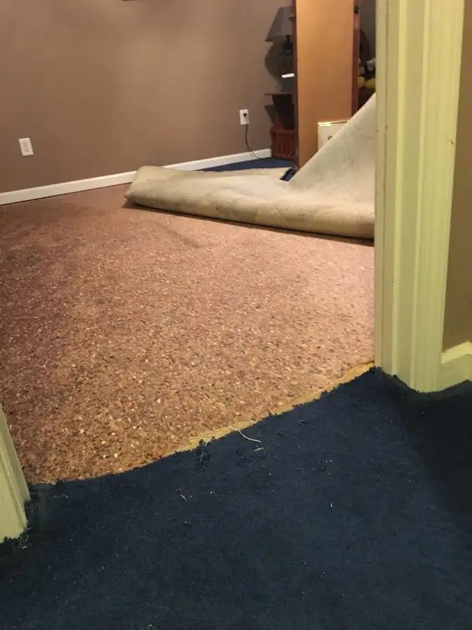 Carpet pad removal revealing water damage during Water Mitigation Services in Oyster Bay