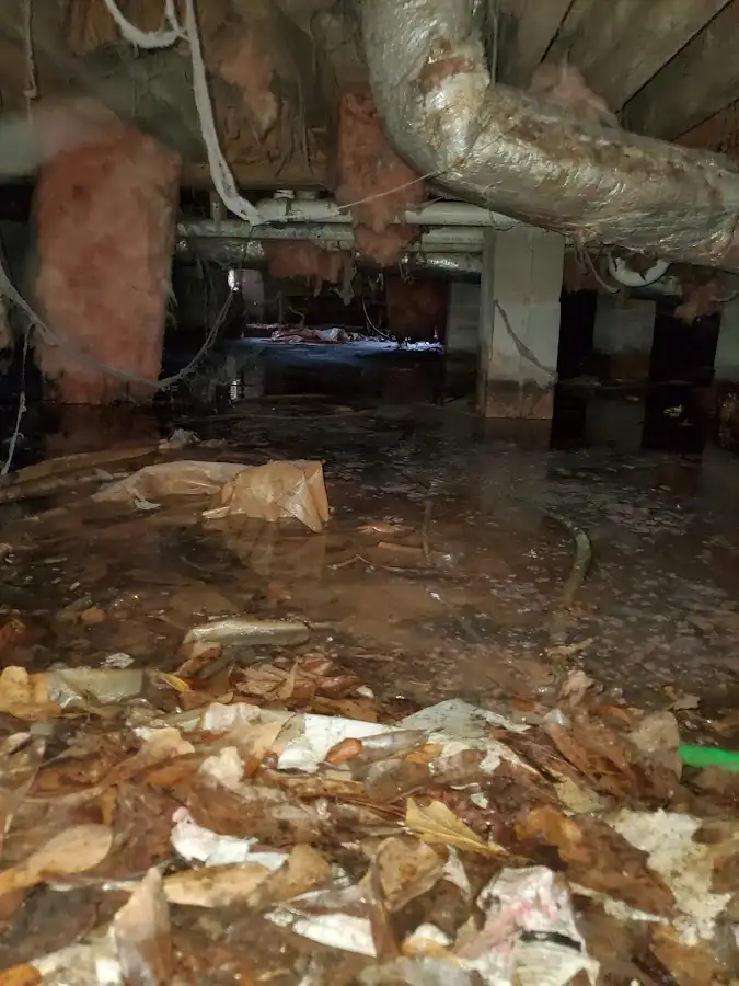 Crawl space flood assessment for Commercial Water Damage Restoration in Oyster Bay